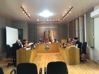 Câmara aprova Projeto de Lei que institui o Dia Municipal da Flor